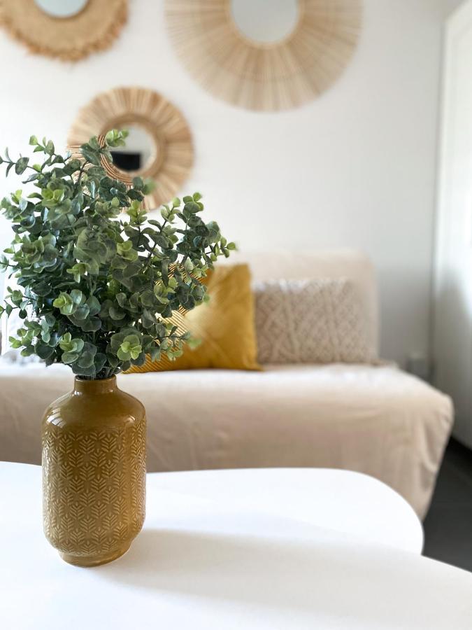 Studio 24M² Montpellier - Hopitaux Facultes Centre Ngoại thất bức ảnh
